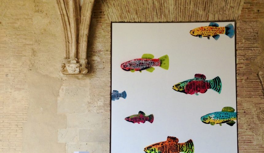 Boosting your Spanish Through Museums: Unlock Language Skills While Exploring Art and Culture Boosting your Spanish Through Museums: Unlock Language Skills While Exploring Art and Culture